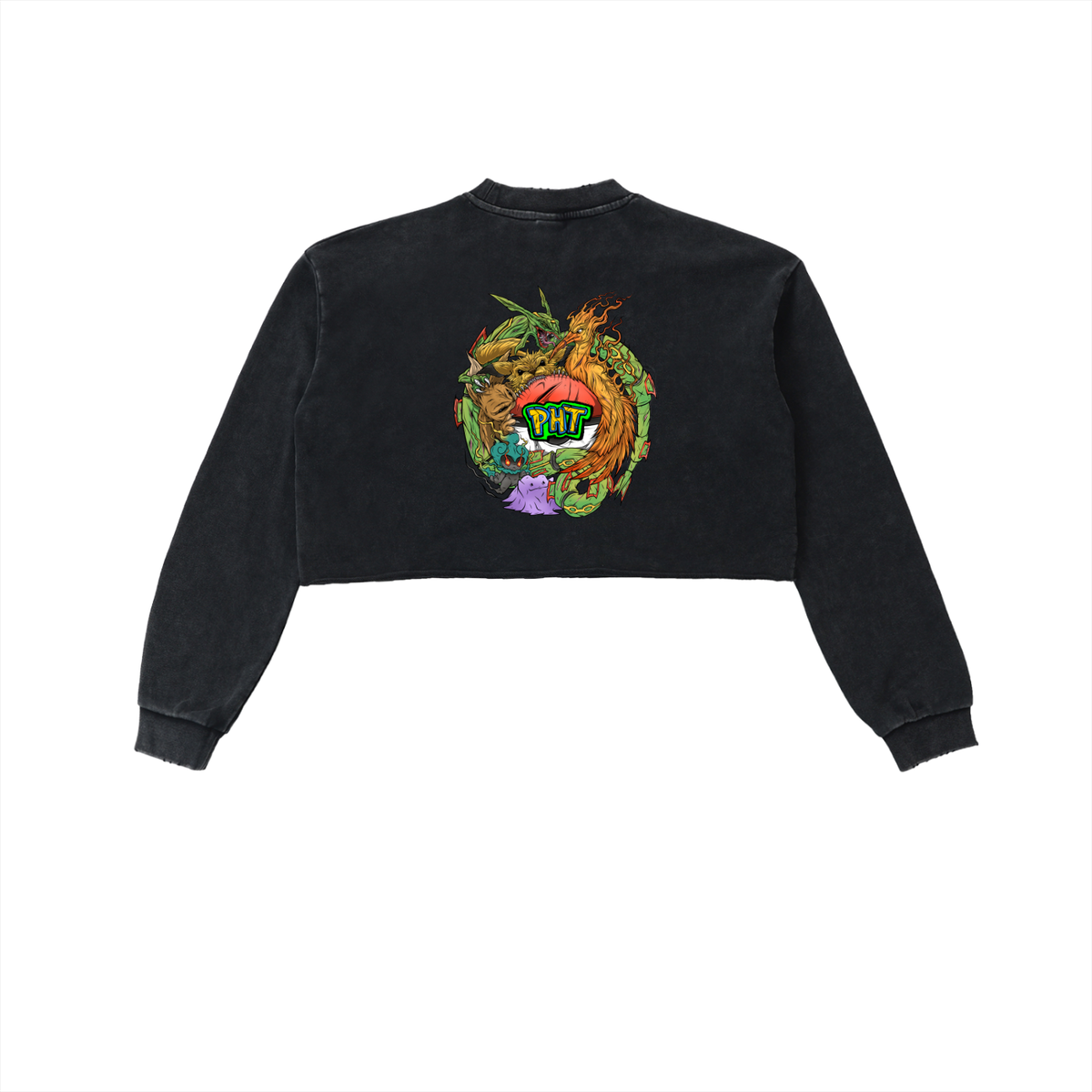 PHT Snow Washed Raw Edge Cropped Sweatshirt Colour Logo