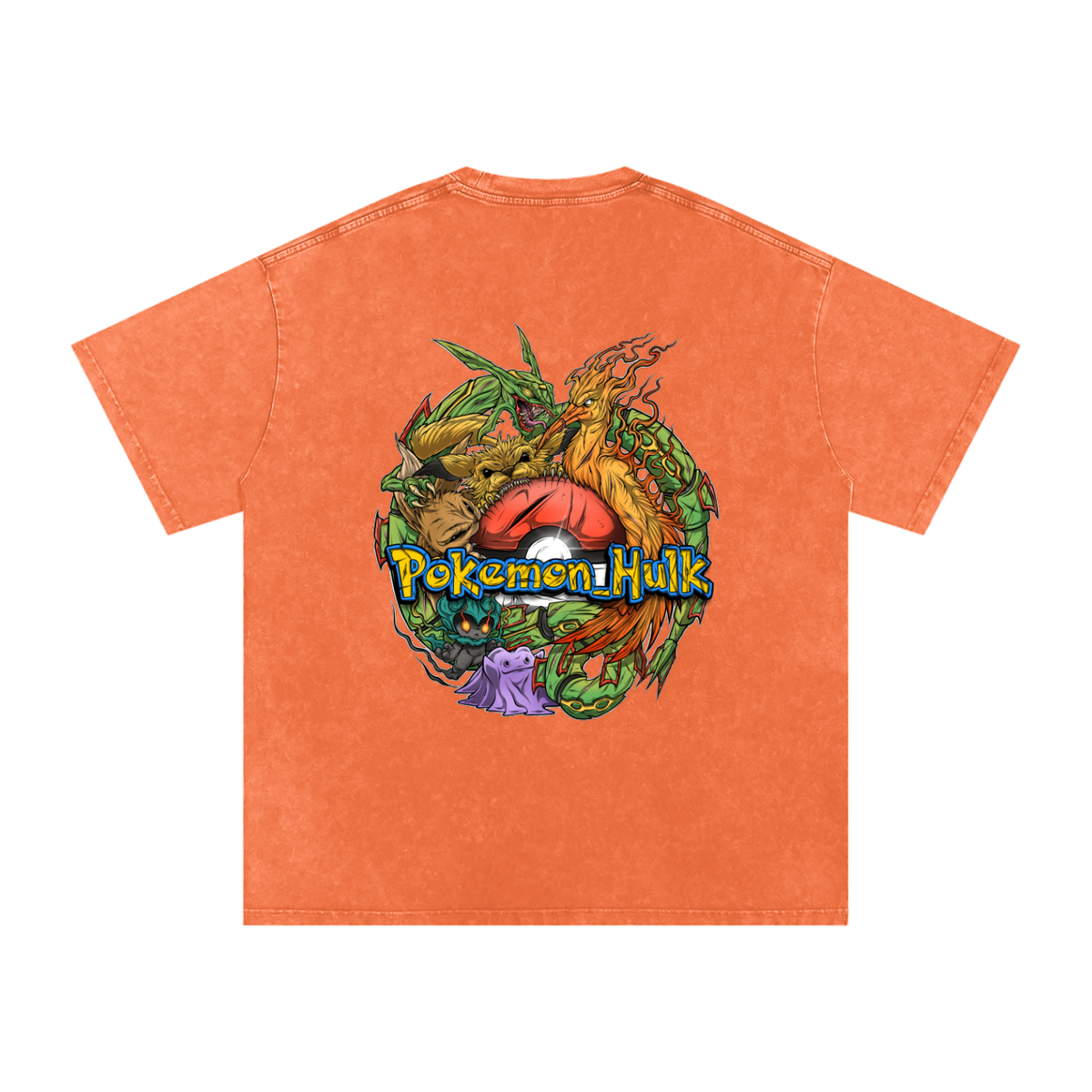 PHT Snow Washed Oversized Cotton T-Shirt Colour Logo