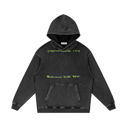 PHT Snow Washed Loose Cotton Hoodie Colour Logo