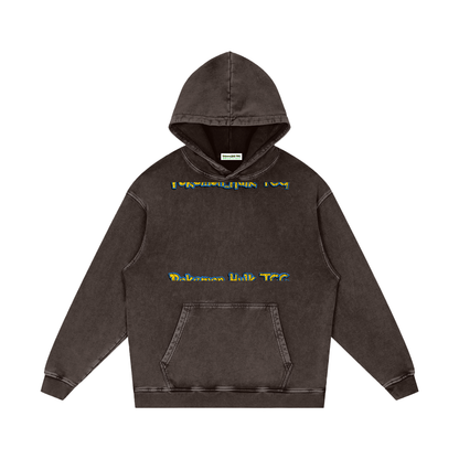 PHT Snow Washed Loose Cotton Hoodie Colour Logo